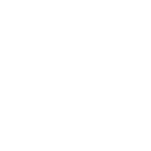 Logo HC VÍTKOVICE RIDERA